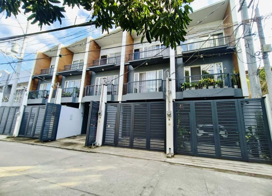 Mercedes Park Street, Mercedes Executive Village, Cainta, Rizal