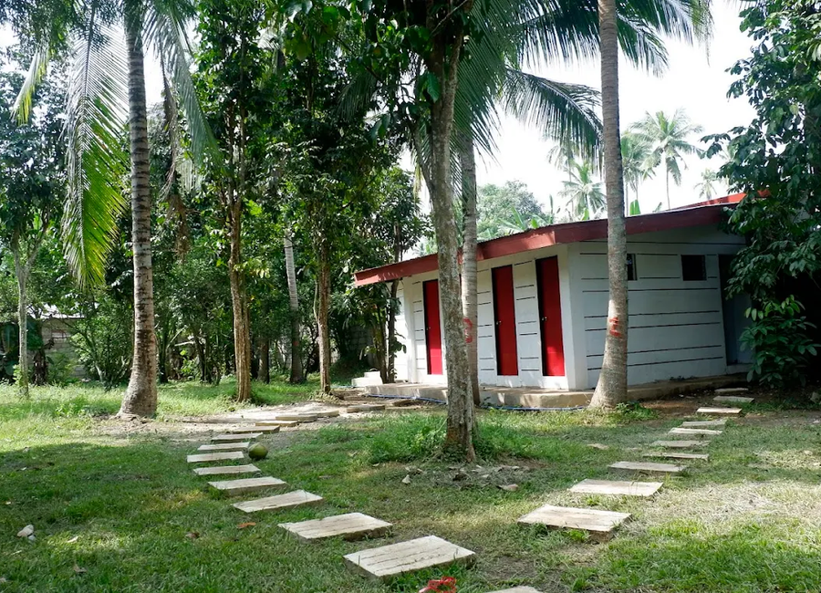 Bulilan Norte, Pila, Laguna image 3