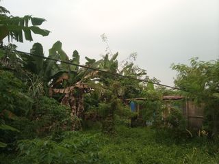 jual TANAH