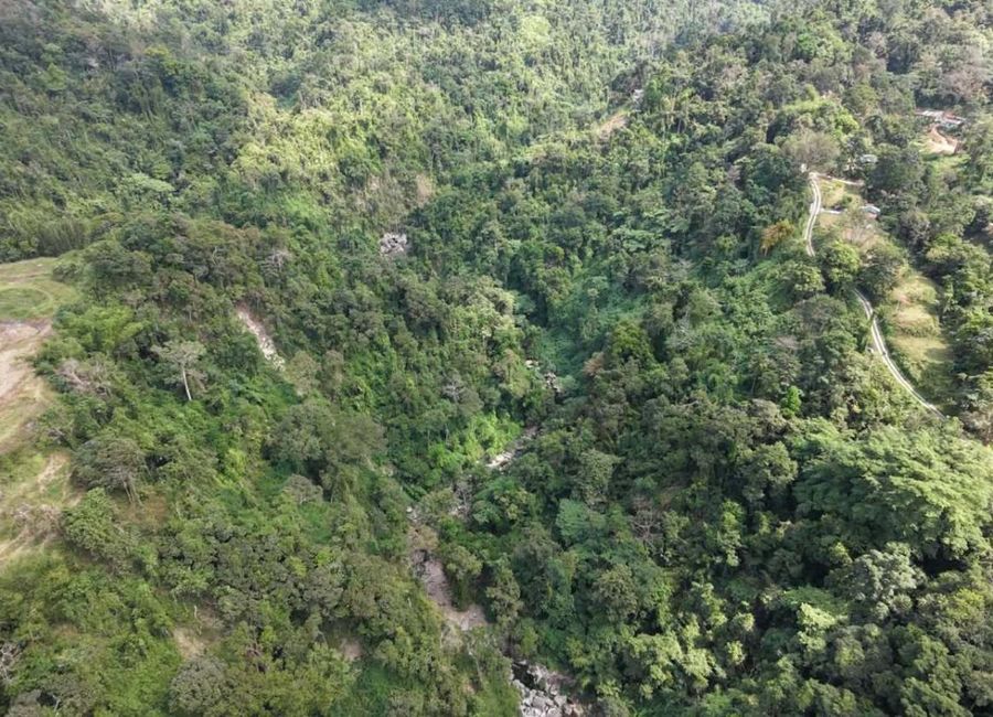Sablan Benguet Farm 4.6 Has. for Sale Clean Titles | Lamudi.com.ph