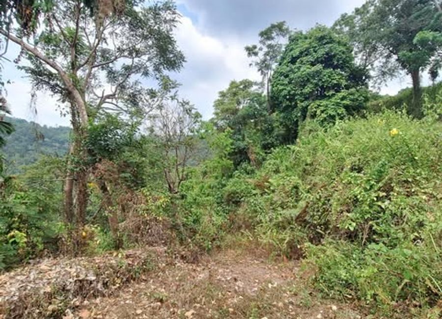 Sablan Benguet Farm 4.6 Has. for Sale Clean Titles | Lamudi.com.ph