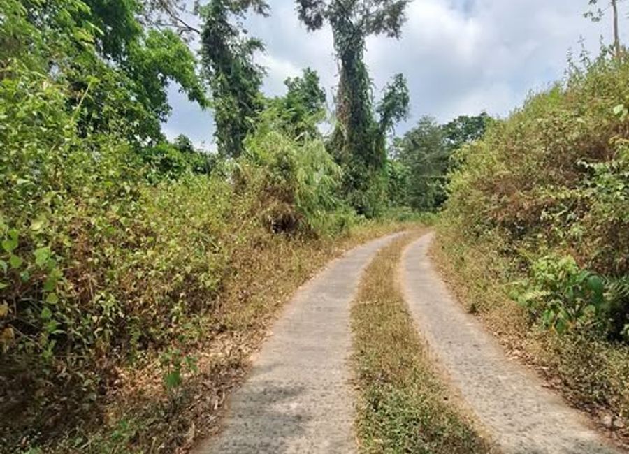 Sablan Benguet Farm 4.6 Has. for Sale Clean Titles | Lamudi.com.ph