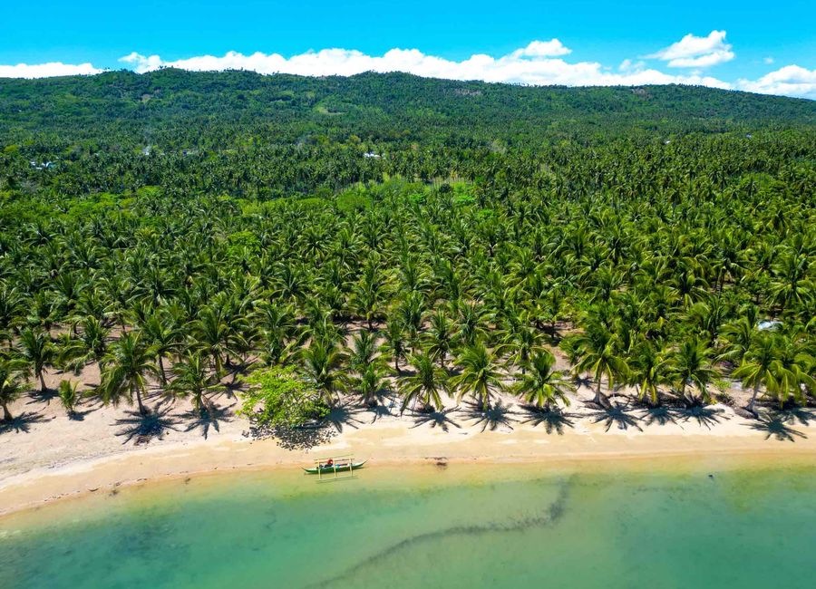Quezon