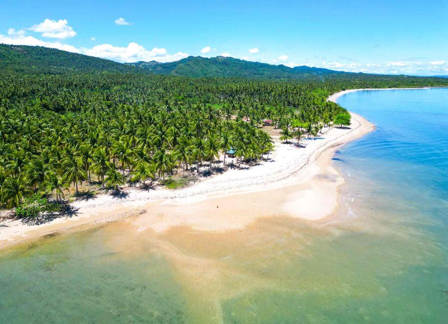 Quezon image 2