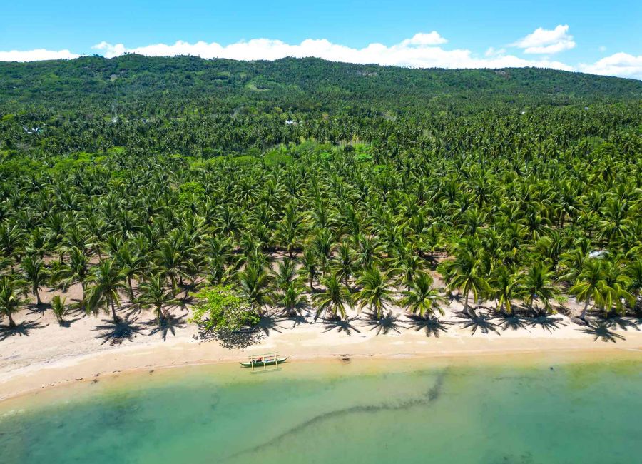 Quezon image 3