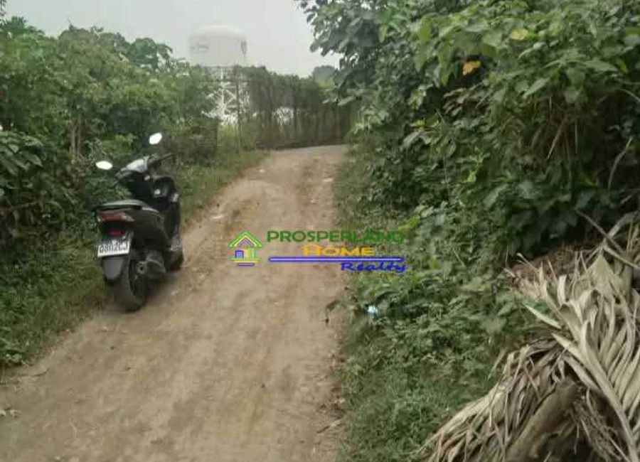 Chipeco Avenue Extension, Real, Calamba, Laguna image 3