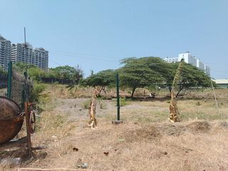 40,788sqm Lot for Lease along Levi Mariano, Ususan Taguig