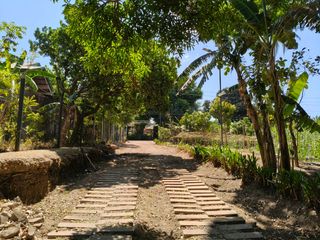 6,387 SQM | FARM LOT FOR SALE WITH FRUIT-BEARING TREES IN BRGY. CAHIL CALACA, BATANGAS. 🍃🌿