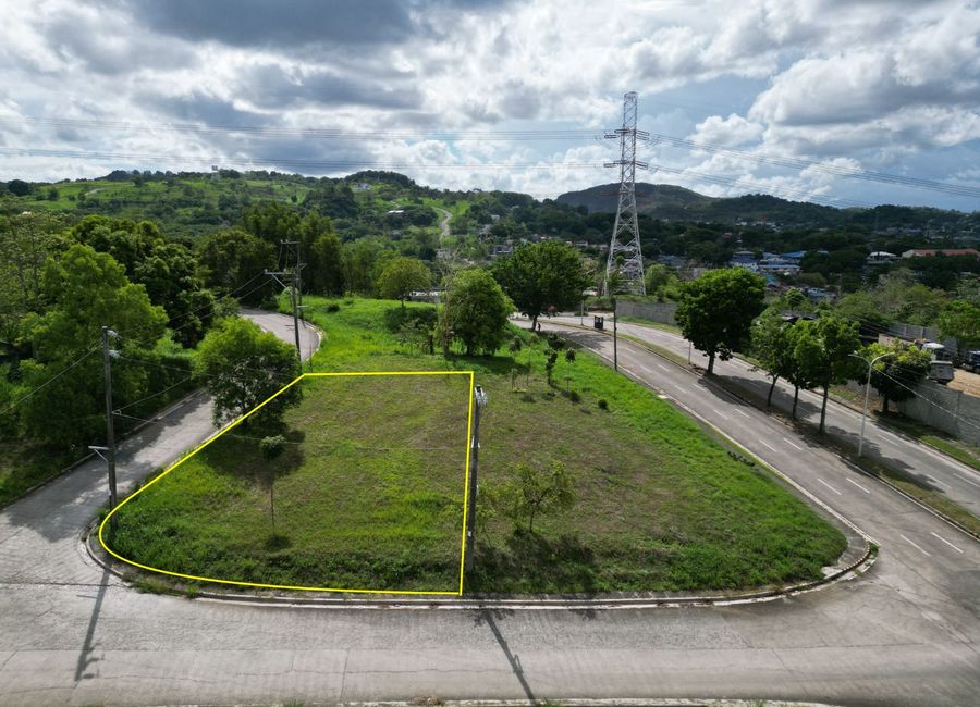 Forest Hills Avenue, Lower Tulakin, Bagong Nayon, Antipolo, Rizal image 2