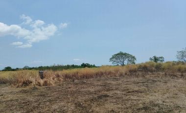 195,501sqm Lot for Lease along C6, Napindan, Taguig