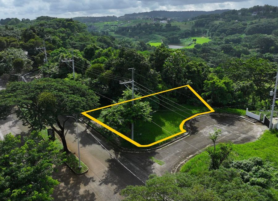 Forest Hills Avenue, Lower Tulakin, Bagong Nayon, Antipolo, Rizal image 2