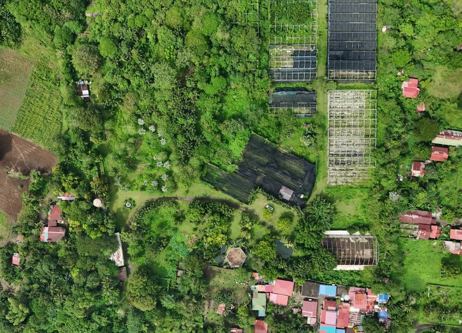 XDE Village, Palo Alto, Laguerta, Calamba, Laguna image 2
