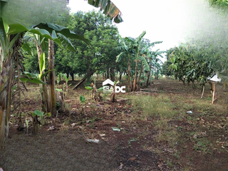 Jual Tanah Luas Kawasan Industri Hanya 3 jt per meter di Jalan Mayong Jepara