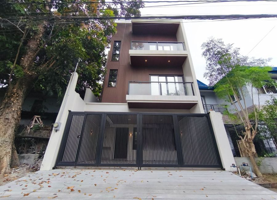 Balimbing Street, Town & Country Executive Village, Mayamot, Antipolo, Rizal