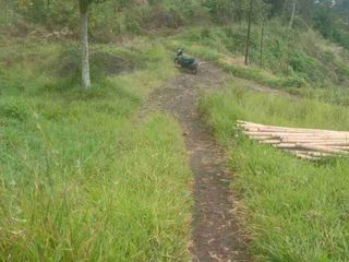 Tanah kebun 5 Ha, Karangpawitan untuk berkebun