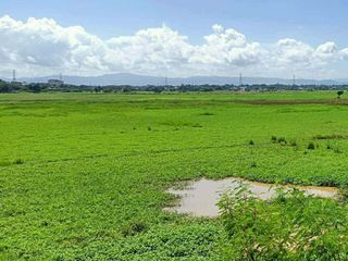 Farm Lot 33,387 sqm flood free for Sale in Calasag Bulacan
