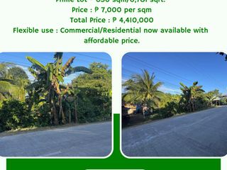 Libaong Panglao - A Rare Prime Lot For Sale -- 630 sqm