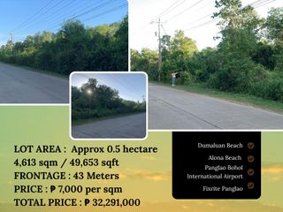 HALF HECTARE PRIME LOT FOR SALE IN LIBAONG, PANGLAO! - 4,613 sqm