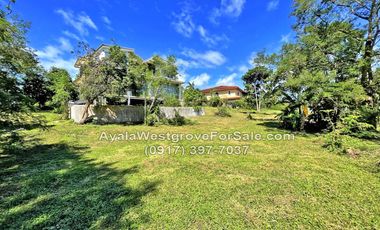 Ayala Westgrove Heights 336 sqm Lot for Sale