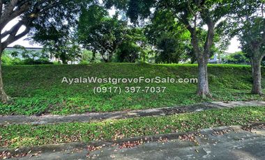 Ayala Westgrove Heights 369 sqm Lot for Sale