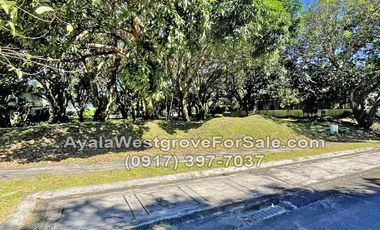 Ayala Westgrove Heights 650 sqm Lot for Sale