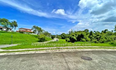 Ayala Westgrove Heights 603 sqm Lot for Sale