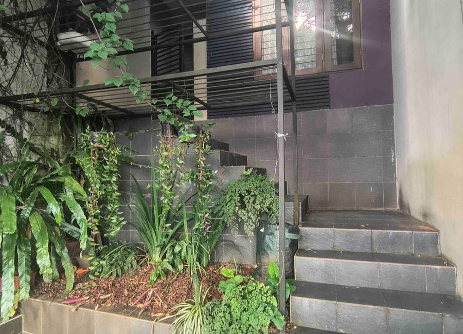 place photo 37