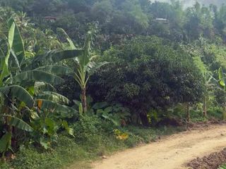 Minglanilla Lot for sale