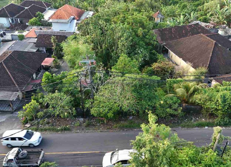 place photo 13