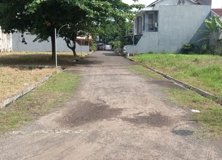 place photo 11