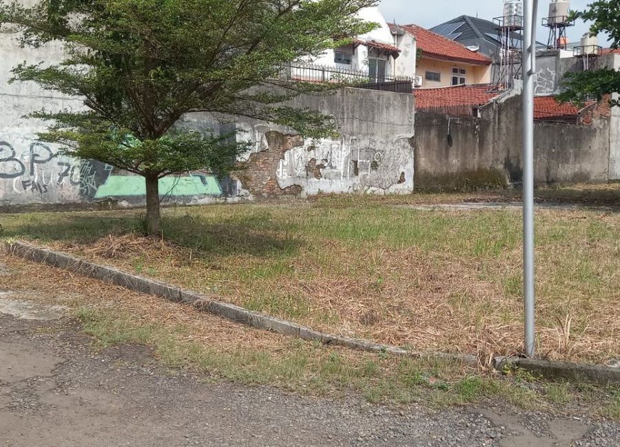 place photo 13