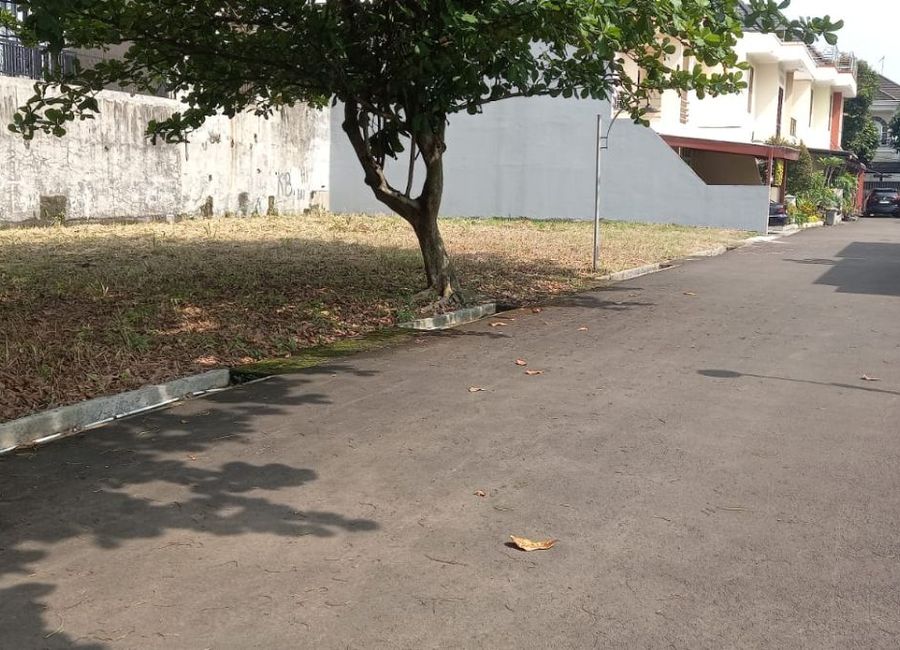 place photo 21