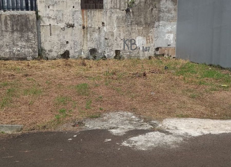 place photo 27