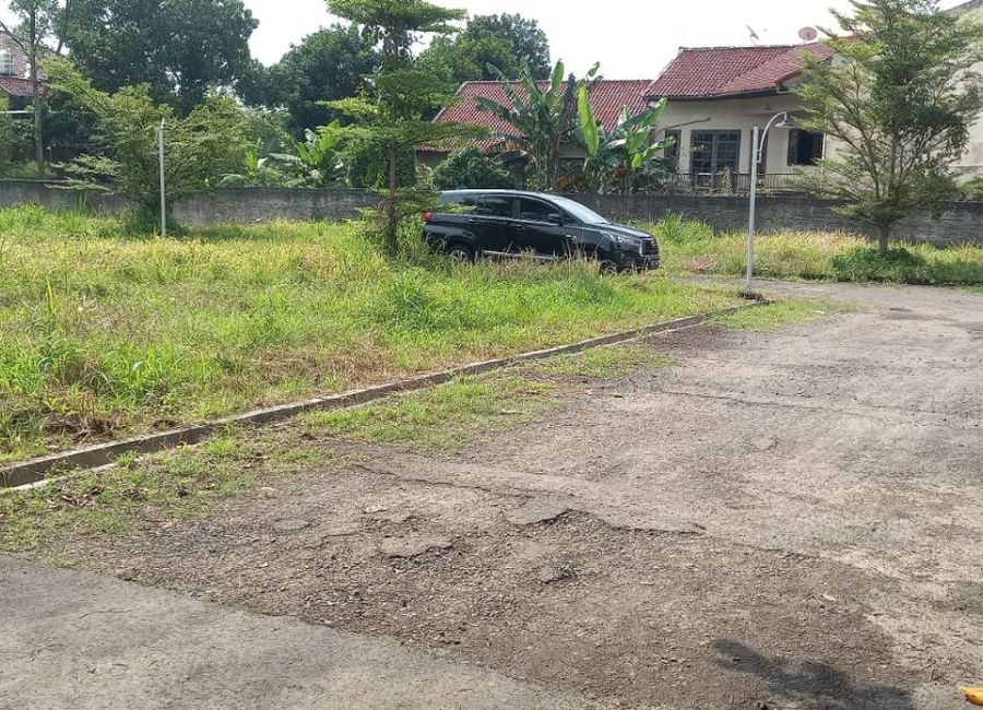 place photo 30
