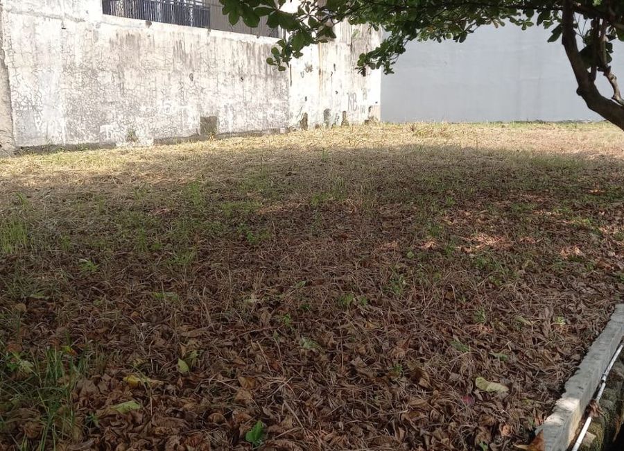 place photo 33