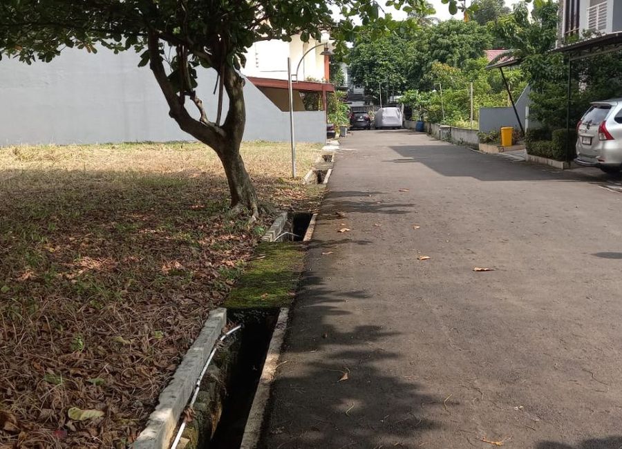place photo 34
