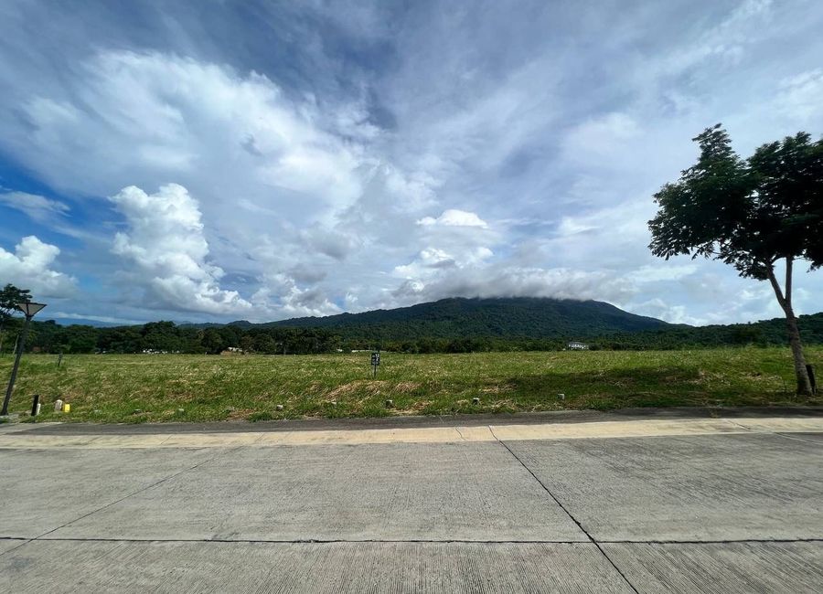 Spine Road, Ayala Greenfield Estates, Maunong, Calamba, Laguna
