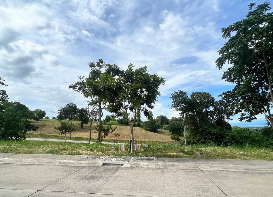 Spine Road, Ayala Greenfield Estates, Maunong, Calamba, Laguna image 3