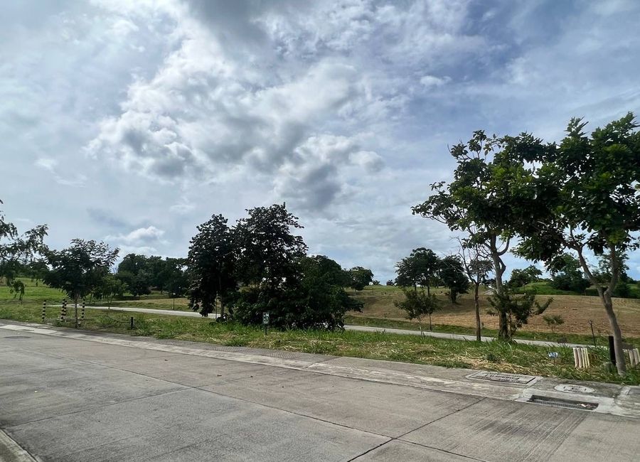 Spine Road, Ayala Greenfield Estates, Maunong, Calamba, Laguna image 2