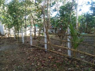 Farm Lot For Sale in Alfonso Cavite-MC