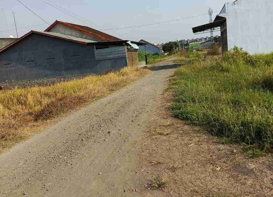 place photo 3