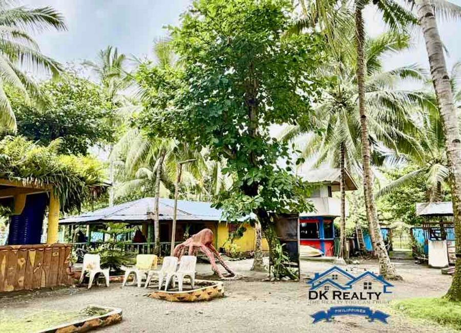 place photo 17
