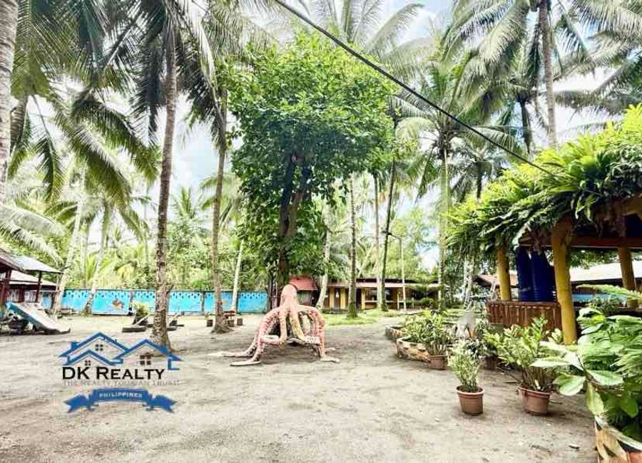 place photo 18