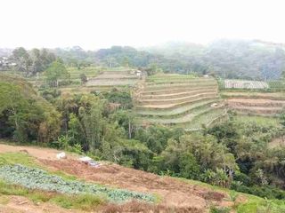 Di Jual Murah Tanah Luas Strategis 0 Jl. Raya Bedugul Bali, Cocok Untuk Usaha & Investasi

Spesifikasi : 

Luas Tanah : 27.940m²

SHM

Harga 400rb/m² Nego
