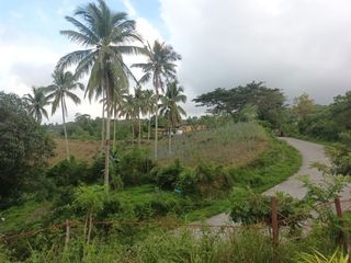 4.5 Hectares farm lot for sale in Barangay Tulang Argao Cebu