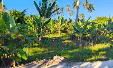 Farmlot For Sale in Magcagong Sibonga Cebu