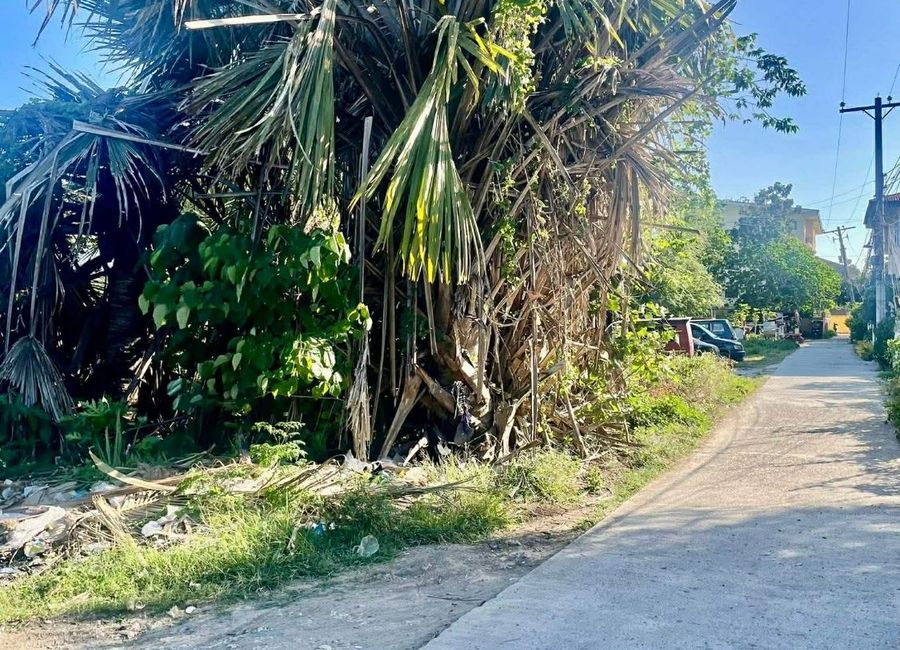 1.5 SQM LOT FOR SALE IN BANCAL, LAPU-LAPU CITY | Lamudi.com.ph
