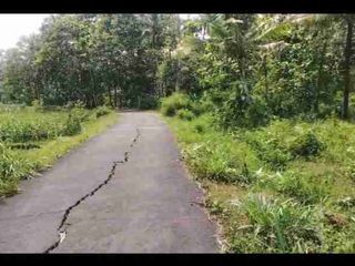 Dijual Murah Tanah SHM Pekarangan mangku jalan / Tepi Jalan Utama jl kedungsari pengasih kulon progo