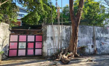 New Manila Lot for Sale