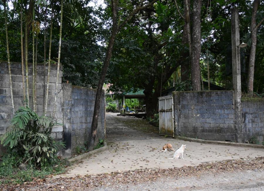 M. A. Roxas Street, Bagumbayan, Takungan, Pililla, Rizal